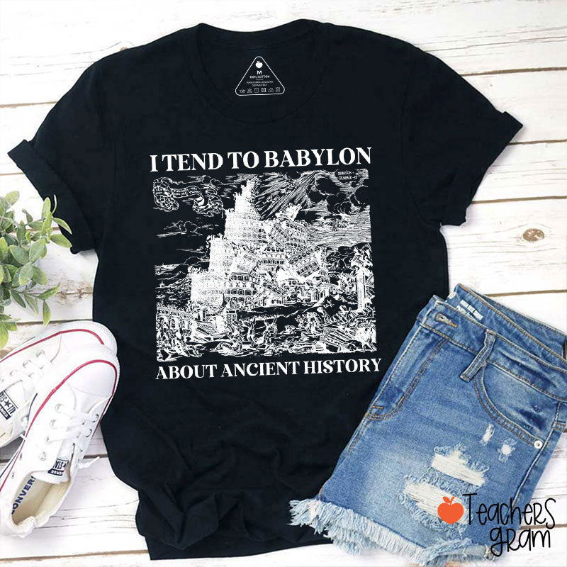 I Tend To Babylon About Ancient History Teacher T-Shirt